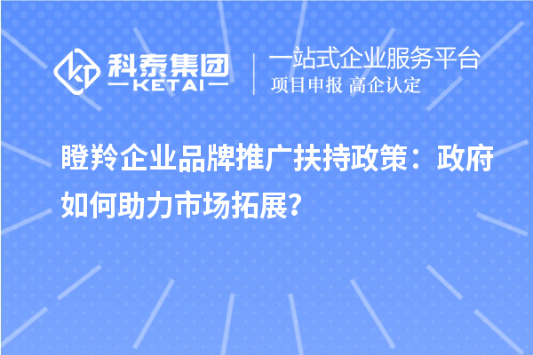 瞪羚企業(yè)品牌推廣扶持政策：政府如何助力市場(chǎng)拓展？