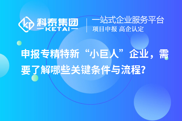 申報(bào)專精特新“小巨人”企業(yè)，需要了解哪些關(guān)鍵條件與流程？