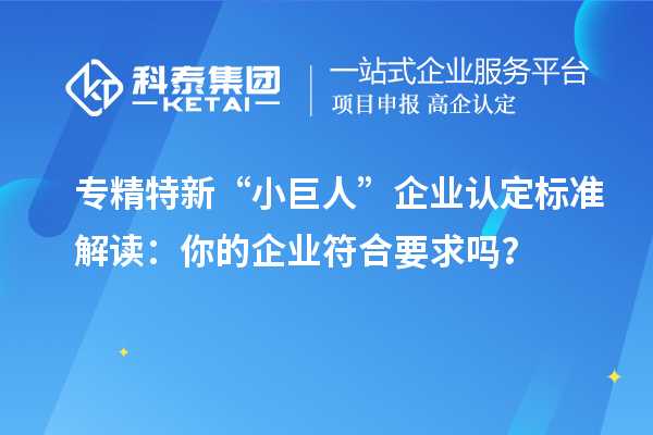 專精特新“小巨人”企業(yè)認定標準解讀：你的企業(yè)符合要求嗎？