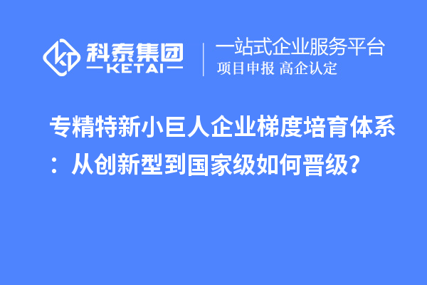 專精特新小巨人企業(yè)梯度培育體系：從創(chuàng)新型到國家級如何晉級？