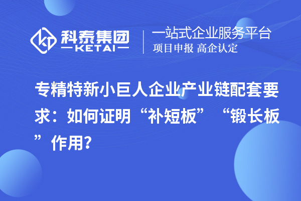 專精特新小巨人企業(yè)產(chǎn)業(yè)鏈配套要求：如何證明“補短板”“鍛長板”作用？