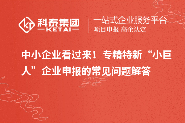中小企業(yè)看過來！專精特新 “小巨人” 企業(yè)申報(bào)的常見問題解答