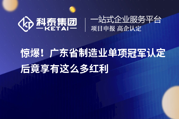 驚爆！廣東省制造業(yè)單項(xiàng)冠軍認(rèn)定后竟享有這么多紅利