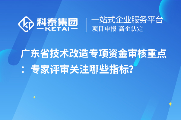廣東省技術改造專項資金審核重點：專家評審關注哪些指標？