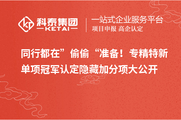 同行都在” 偷偷 “準(zhǔn)備！專精特新單項(xiàng)冠軍認(rèn)定隱藏加分項(xiàng)大公開(kāi)