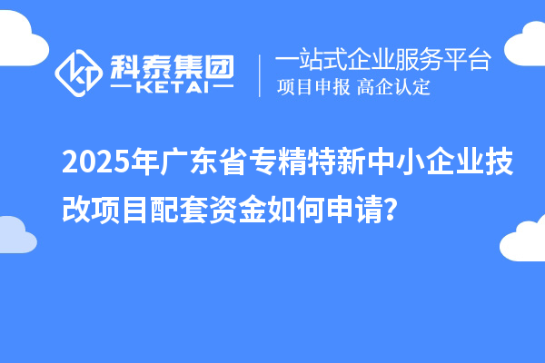 2025年廣東省專精特新中小企業(yè)技改項目配套資金如何申請？
