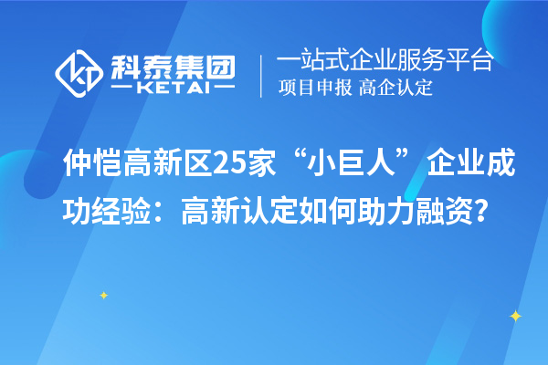 仲愷高新區(qū)25家“小巨人”企業(yè)成功經(jīng)驗：高新認(rèn)定如何助力融資？
