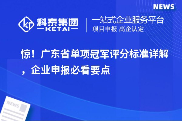 驚！廣東省單項(xiàng)冠軍評(píng)分標(biāo)準(zhǔn)詳解，企業(yè)申報(bào)必看要點(diǎn)