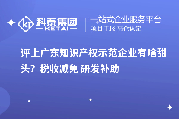 評上廣東知識(shí)產(chǎn)權(quán)示范企業(yè)有啥甜頭？稅收減免+研發(fā)補(bǔ)助
