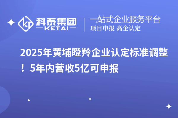 2025年黃埔瞪羚企業(yè)認定標(biāo)準(zhǔn)調(diào)整！5年內(nèi)營收5億可申報
