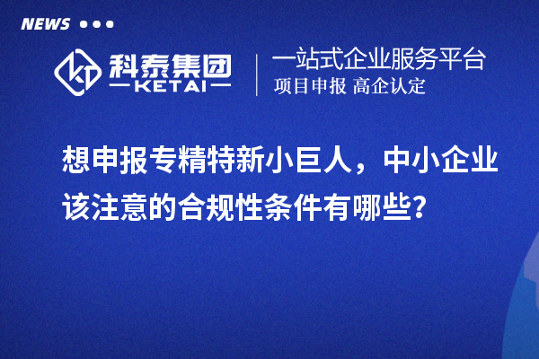 想申報專精特新小巨人，中小企業(yè)該注意的合規(guī)性條件有哪些？