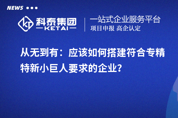 從無到有：應(yīng)該如何搭建符合專精特新小巨人要求的企業(yè)？