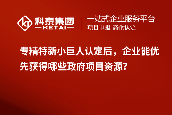 專精特新小巨人認(rèn)定后，企業(yè)能優(yōu)先獲得哪些政府項(xiàng)目資源？