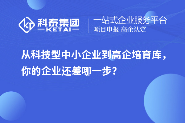 從科技型中小企業(yè)到高企培育庫，你的企業(yè)還差哪一步？