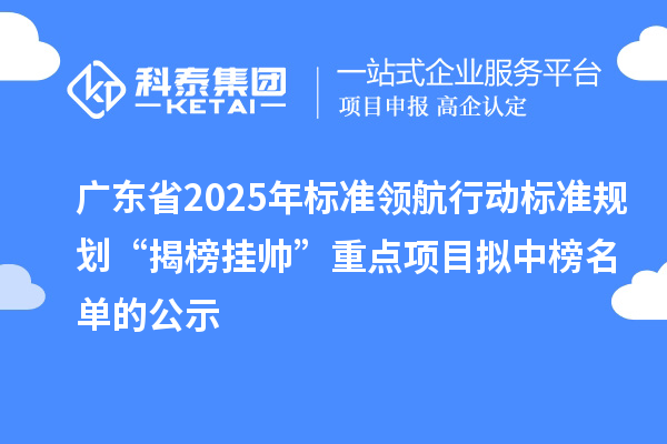 廣東省2025年標準領航行動標準規(guī)劃“揭榜掛帥”重點項目擬中榜名單的公示