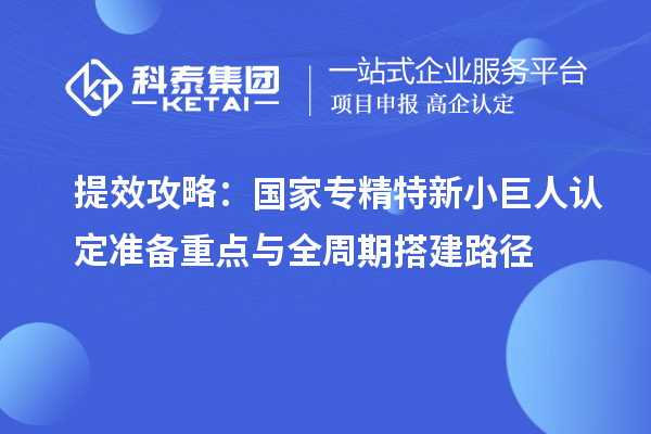 提效攻略：國家專精特新小巨人認(rèn)定準(zhǔn)備重點與全周期搭建路徑