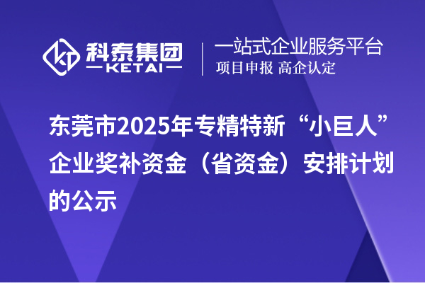 東莞市2025年專精特新“小巨人”企業(yè)獎(jiǎng)補(bǔ)資金（省資金）安排計(jì)劃的公示