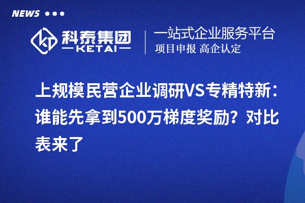 上規(guī)模民營企業(yè)調(diào)研VS專精特新：誰能先拿到500萬梯度獎勵？對比表來了