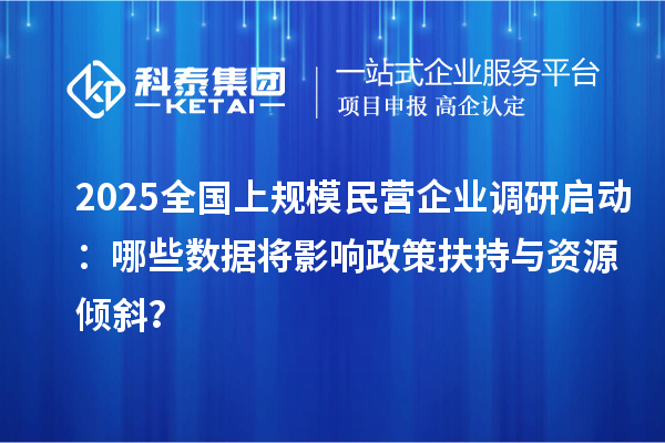 2025全國(guó)上規(guī)模民營(yíng)企業(yè)調(diào)研啟動(dòng)：哪些數(shù)據(jù)將影響政策扶持與資源傾斜？
