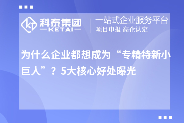 為什么企業(yè)都想成為“專(zhuān)精特新小巨人”？5大核心好處曝光