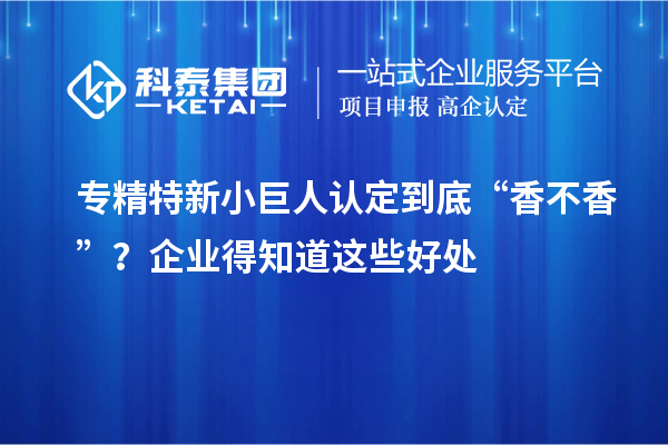 專精特新小巨人認定到底“香不香”？企業(yè)得知道這些好處