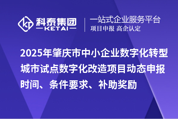 2025年肇慶市中小企業(yè)數(shù)字化轉(zhuǎn)型城市試點數(shù)字化改造項目動態(tài)申報時間、條件要求、補助獎勵