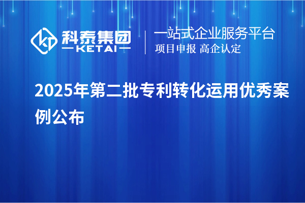 2025年第二批專利轉(zhuǎn)化運用優(yōu)秀案例公布