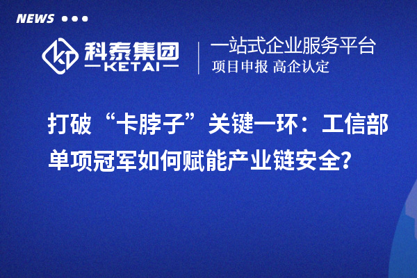打破“卡脖子”關(guān)鍵一環(huán)：工信部單項(xiàng)冠軍如何賦能產(chǎn)業(yè)鏈安全？