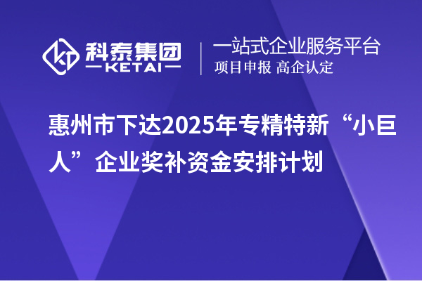 惠州市下達(dá)2025年專精特新“小巨人”企業(yè)獎補資金安排計劃