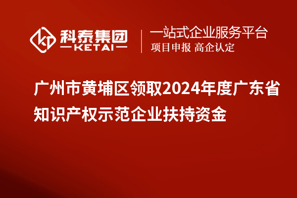 廣州市黃埔區(qū)領(lǐng)取2024年度廣東省知識(shí)產(chǎn)權(quán)示范企業(yè)扶持資金