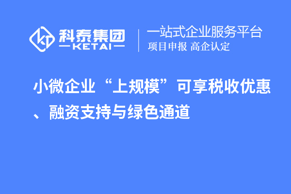 小微企業(yè)“上規(guī)模”可享稅收優(yōu)惠、融資支持與綠色通道